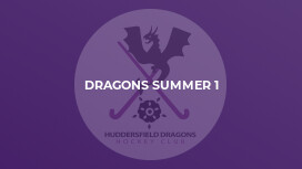 Dragons Summer 1