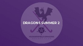 Dragons Summer 2