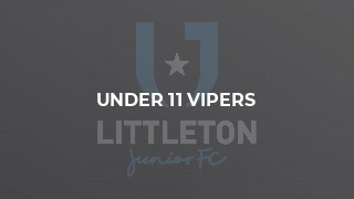 Under 11 Vipers