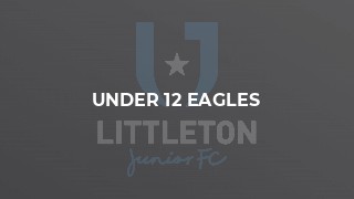 Under 12 Eagles