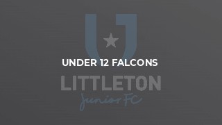 Under 12 Falcons