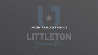 Under 12 Falcons Assocs