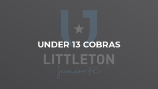 Under 13 Cobras