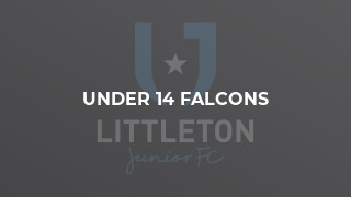 Under 14 Falcons