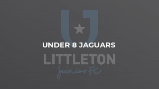 Under 8 Jaguars