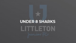 Under 8 Sharks