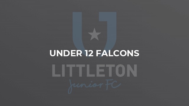 Under 12 Falcons