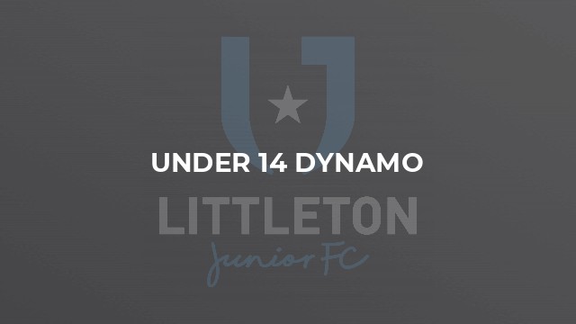 Under 14 Dynamo