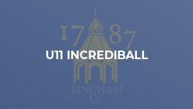 U11 Incrediball