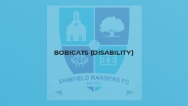 Bobicats (Disability)