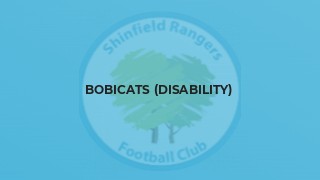 Bobicats (Disability)