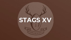 Stags XV