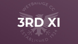 3rd XI