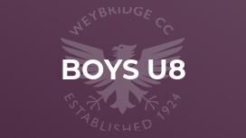 Boys U8