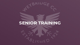 Senior Training