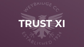 Trust XI