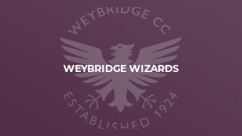 Weybridge Wizards