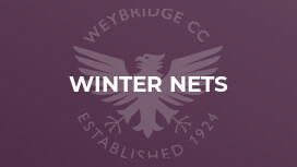Winter nets