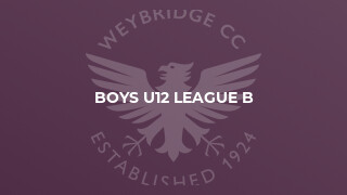 Boys U12 League B