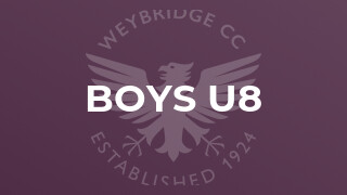 Boys U8