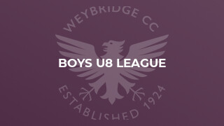 Boys U8 League
