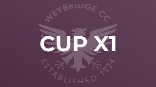 Cup X1