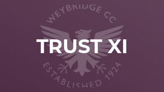 Trust XI