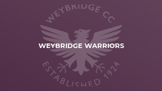 Weybridge Warriors