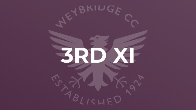3rd XI