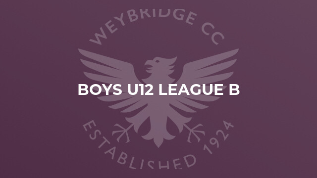 Boys U12 League B