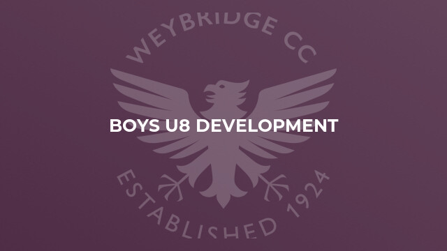 Boys U8 Development