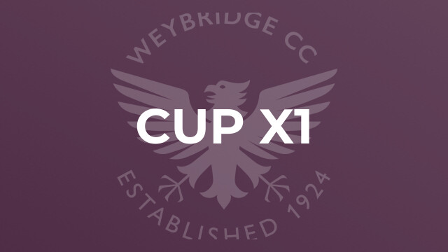 Cup X1
