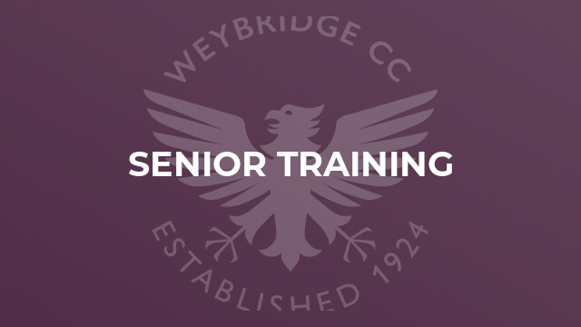 Senior Training