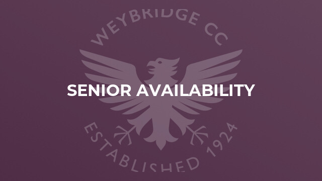 Senior availability