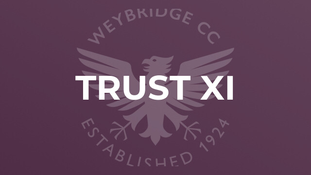 Trust XI