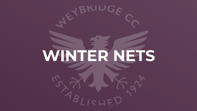 Winter nets