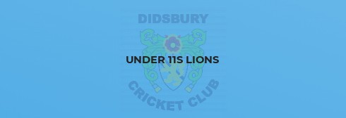 U11 Lions batter top of the table with a ruthless performance.