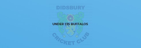 Didsbury CC u13 Buffalos v Alderley Edge CC u13 Hedgehogs