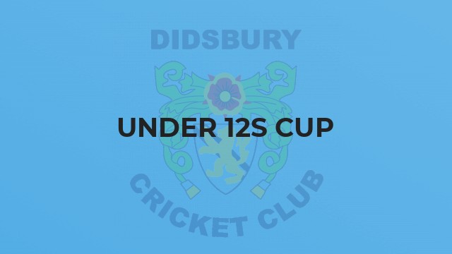 Under 12s Cup