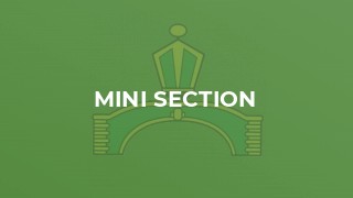 Mini Section