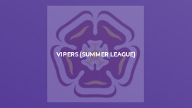 Vipers (Summer League)
