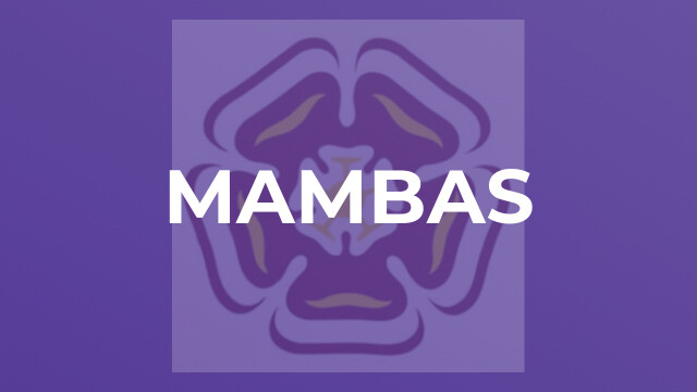 Mambas