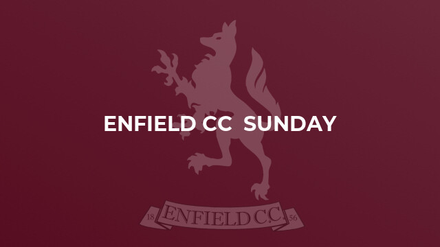 Enfield CC  Sunday