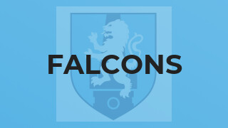 Falcons