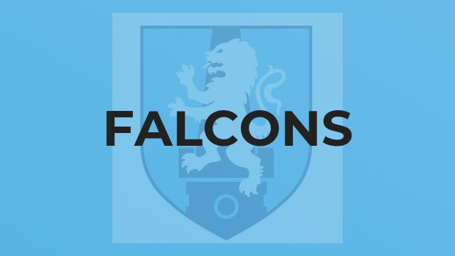 Falcons