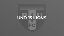 Und 15 Lions