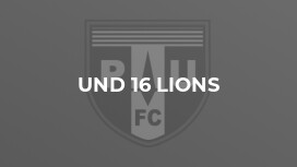 Und 16 Lions