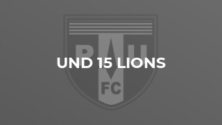 Und 15 Lions