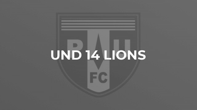 Und 14 Lions