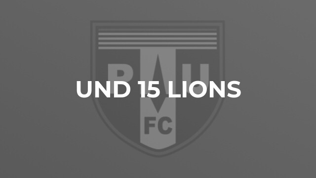 Und 15 Lions